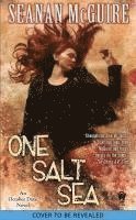 bokomslag One Salt Sea