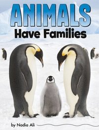 bokomslag Animals Have Families