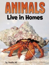 bokomslag Animals Live in Homes