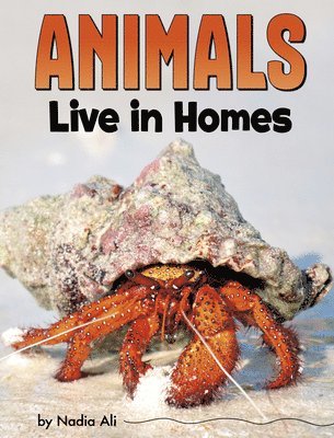 Animals Live in Homes 1