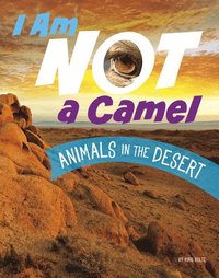 bokomslag I Am Not a Camel: Animals in the Desert
