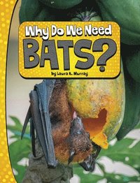 bokomslag Why Do We Need Bats?