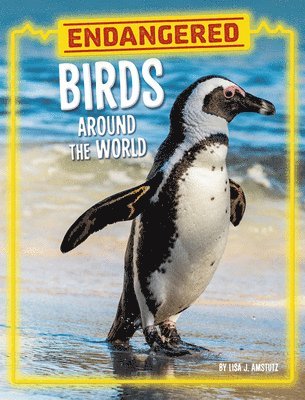 Lisa J. Amstutz - Endangered Birds Around the World, Inbunden