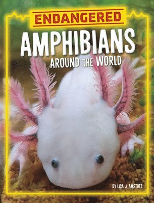 bokomslag Endangered Amphibians Around the World