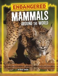 bokomslag Endangered Mammals Around the World