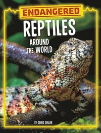 bokomslag Endangered Reptiles Around the World