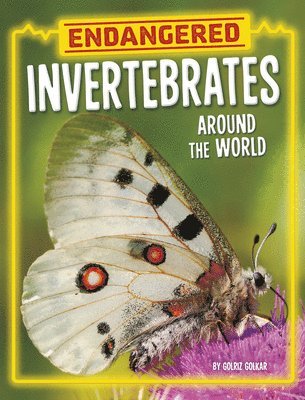 Endangered Invertebrates Around the World 1