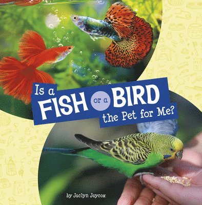 Is a Fish or a Bird the Pet for Me? 1