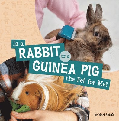 Is a Rabbit or a Guinea Pig the Pet for Me? 1