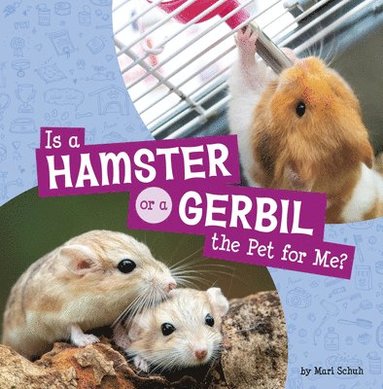 Mari Schuh - Is a Hamster or a Gerbil the Pet for Me?, Inbunden