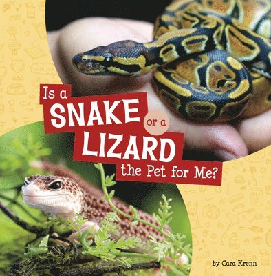 Is a Snake or a Lizard the Pet for Me? 1