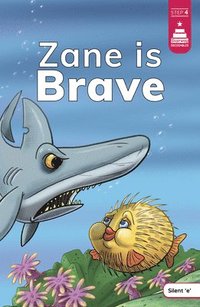 bokomslag Zane Is Brave