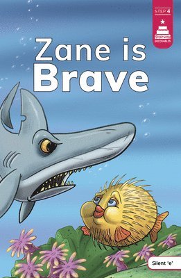 Leanna Koch - Zane Is Brave, Häftad