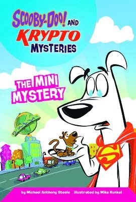 The Mini Mystery 1