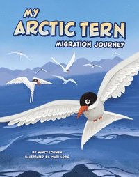 bokomslag My Arctic Tern Migration Journey