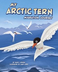 bokomslag My Arctic Tern Migration Journey