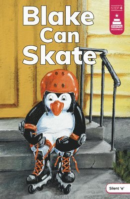 Blake Can Skate 1