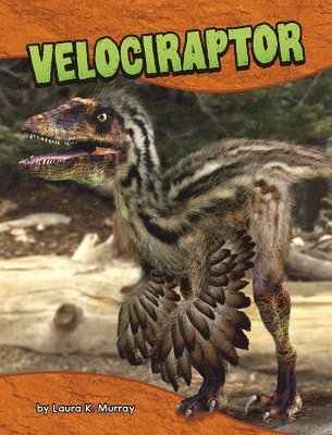 bokomslag Velociraptor