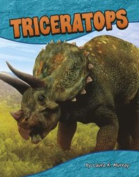 bokomslag Triceratops