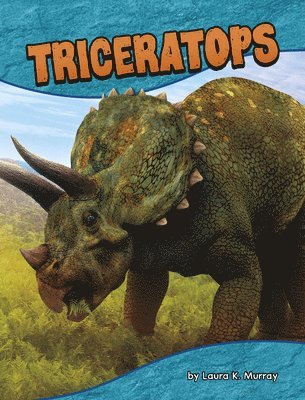 bokomslag Triceratops