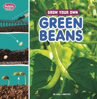 Lisa J. Amstutz - Grow Your Own Green Beans, Inbunden
