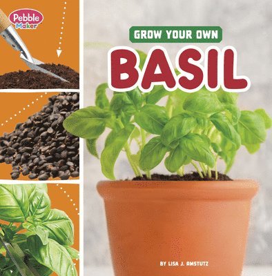 Grow Your Own Basil 1