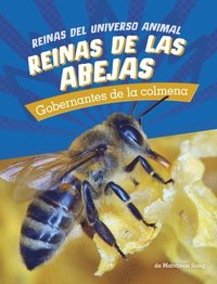 bokomslag Reinas de Las Abejas