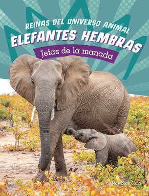 bokomslag Elefantes Hembras