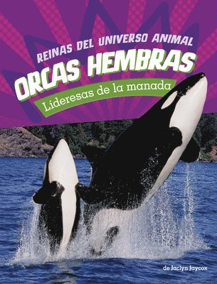 bokomslag Orcas Hembras: Lideresas de la Manada