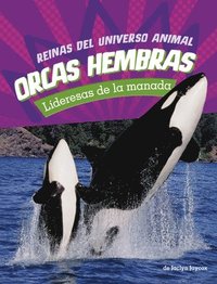 bokomslag Orcas Hembras: Lideresas de la Manada