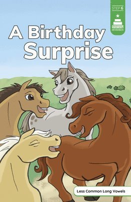 Leanna Koch - A Birthday Surprise, Inbunden. Tillgänglighet: Lägg i varukorg
