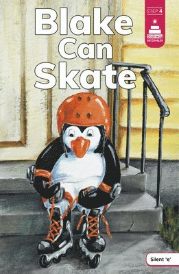 Blake Can Skate 1