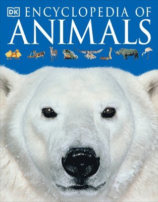 bokomslag Encyclopedia of Animals