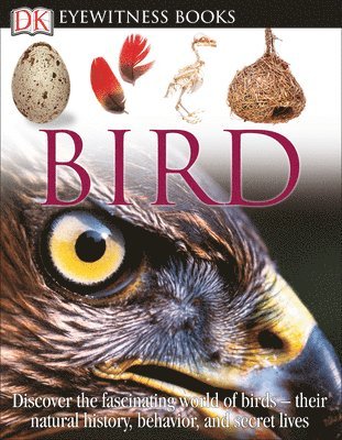 bokomslag DK Eyewitness Books: Bird