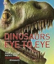 bokomslag Dinosaurs Eye To Eye