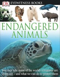 bokomslag DK Eyewitness Books: Endangered Animals: Discover Why Some of the World's Creatures Are Dying Out [With CDROM]