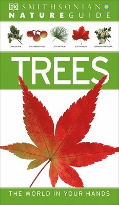 bokomslag Nature Guide: Trees