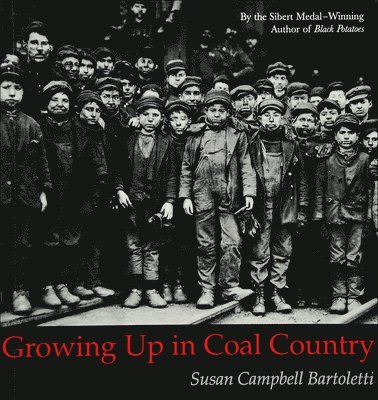 bokomslag Growing Up in Coal Country