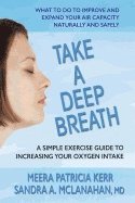 Meera Patricia Kerr, Sandra A. McLanahan, Meera Patricia (Meera Patricia Kerr) Kerr, Sandra A. (Sandra A. McLanahan) McLanahan, McLanahan, Meera Patricia Kerr and Sandra A. McLanahan, MD McLanahan, Sandra A., Mclanahan - Take a Deep Breath, Häftad