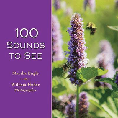 Marsha Engle, William Huber - Engle, M: 100 Sounds to See, Inbunden