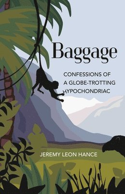 bokomslag Baggage