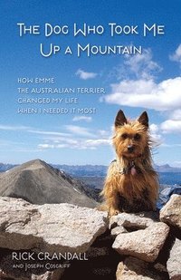 bokomslag The Dog Who Took Me Up a Mountain