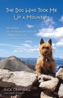The Dog Who Took Me Up a Mountain 1