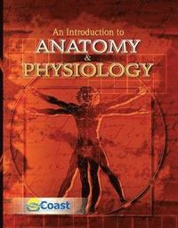 bokomslag Anatomy and Physiology : An Introduction