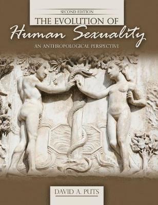 David Puts, Puts David, Puts, - Evolution of Human Sexuality: An Anthropological Perspective, Häftad
