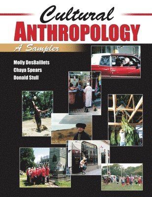Donald Stull, Molly Beth Des Balliets, Chaya Spears, Stull et al, - Cultural Anthropology: A Sampler, Häftad