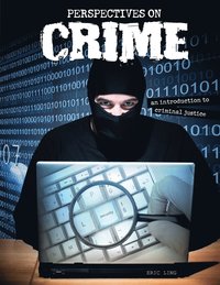 bokomslag Perspectives on Crime