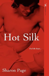 bokomslag Hot Silk