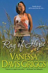 bokomslag Ray of Hope
