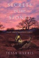 Secrets in the Stones 1